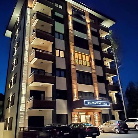 Vila Pino Silvestre Zlatibor Exterior photo